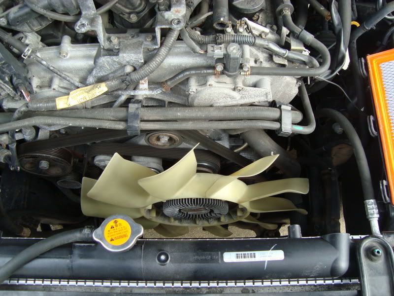 Nissan fan clutch removal #2