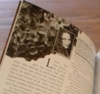 Sneak Peek at Story