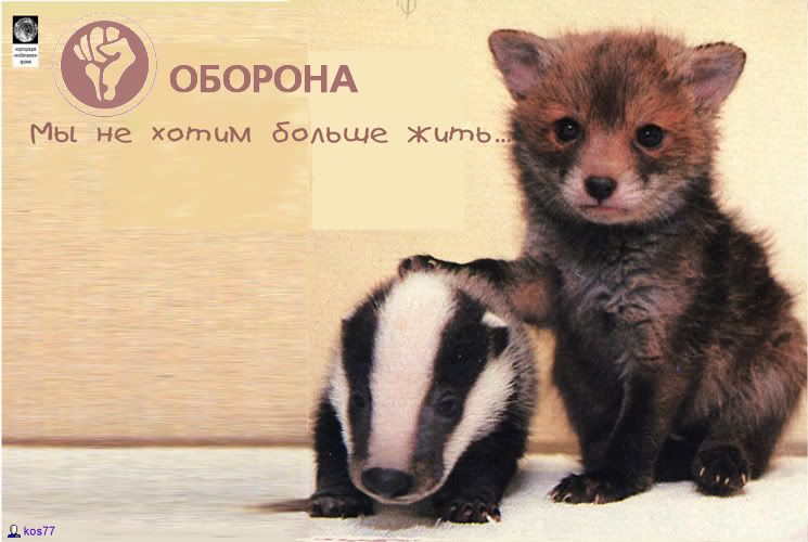 Image hosting by Photobucket