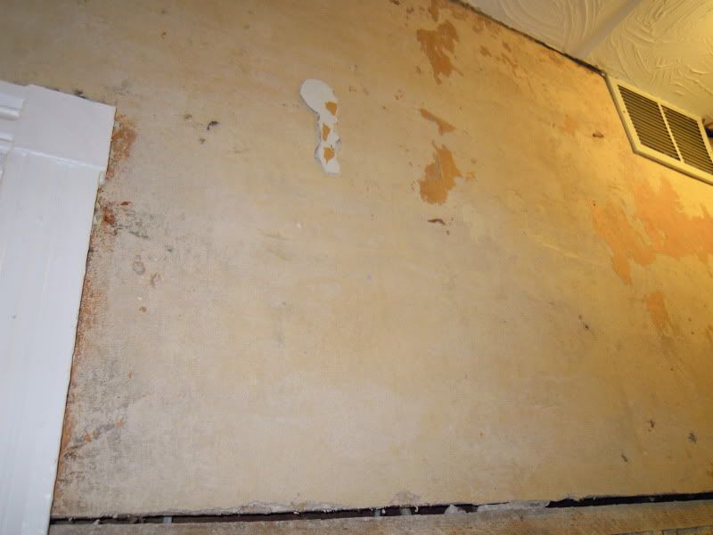 Preserving (horsehair) plaster in 1880 row home, advice please