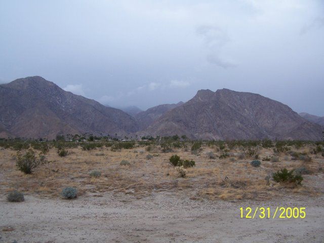 Rain in the desert Pictures, Images and Photos