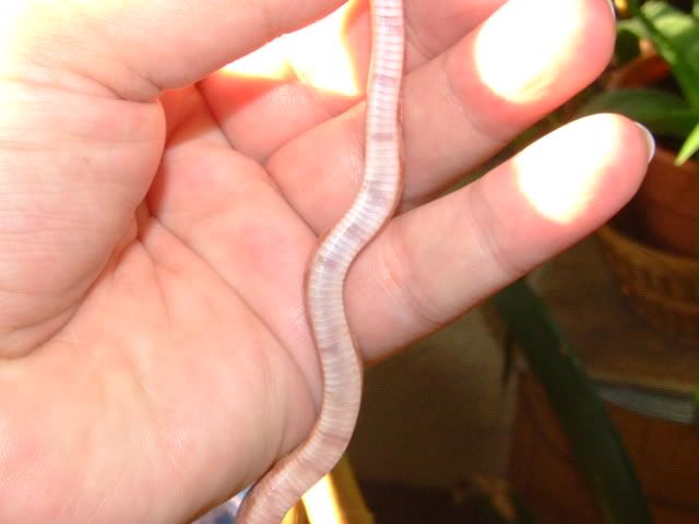 DSCF0110.jpg