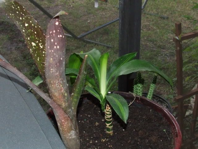 DSCF0647.jpg