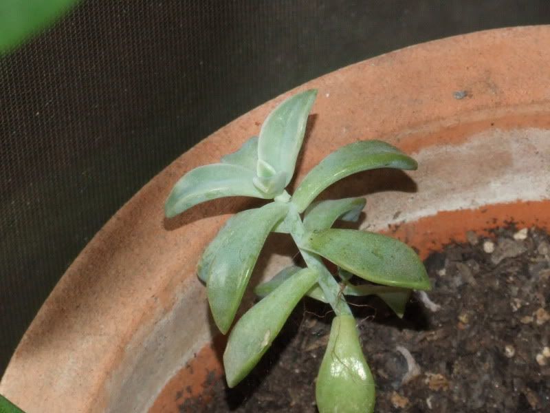 DSCF0730.jpg