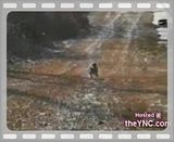 Photobucket Image Hosting