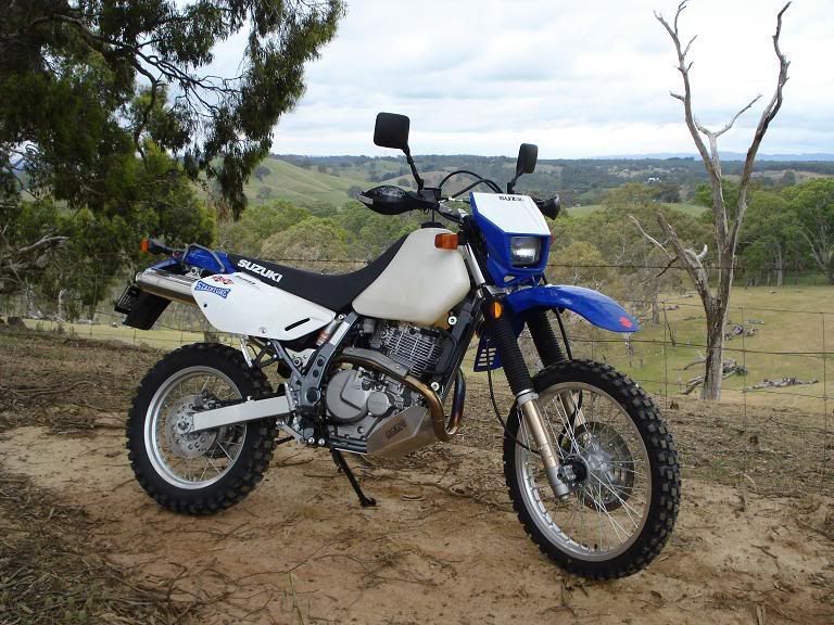DR650.jpg