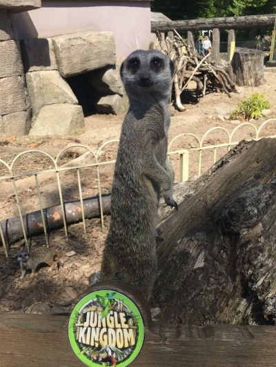 2B0A2120-6832-4C59-8C17-27C51B58B06F_zps