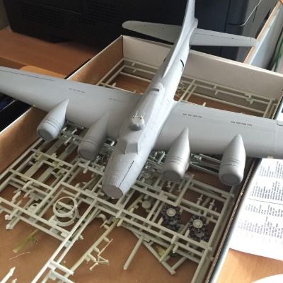 89A61BEE-12A8-422A-8D82-A65E11D0B8D6_zps