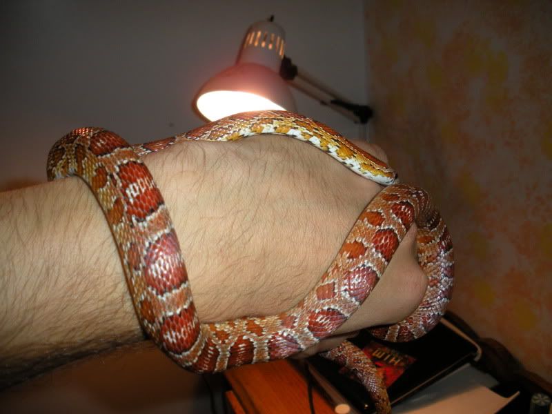 DSCN0344.jpg