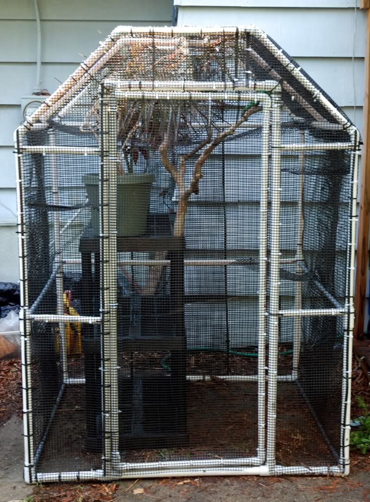 Pvc Cage Plans Chameleon Forums