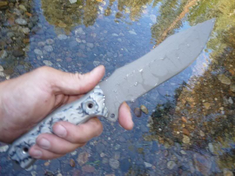 [Linked Image from i40.photobucket.com]
