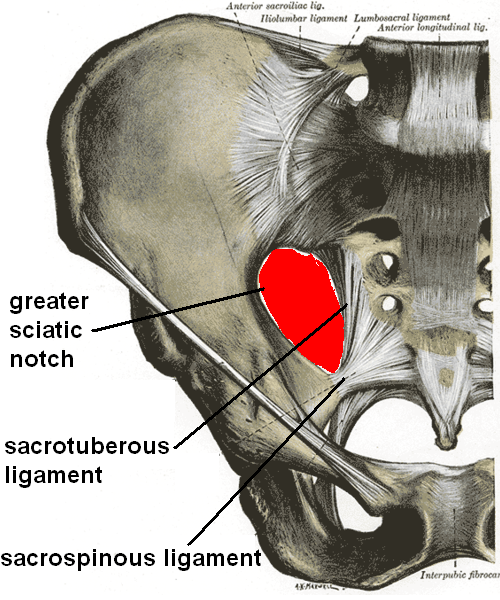 Sacroiliac Joint Dysfunction. In addition to SI joint