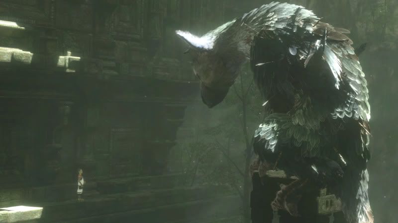 The Last Guardian Pictures, Images and Photos