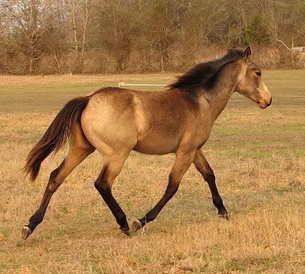 IMAGE: http://i40.photobucket.com/albums/e250/GypsyMagic2/88f71b14.jpg