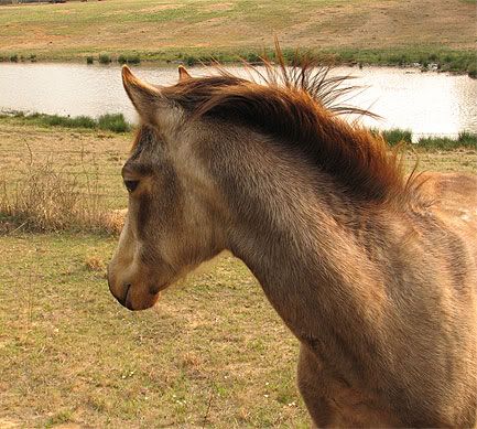 IMAGE: http://i40.photobucket.com/albums/e250/GypsyMagic2/bd13ff2e.jpg