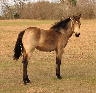 IMAGE: http://i40.photobucket.com/albums/e250/GypsyMagic2/dc0550a7.jpg