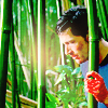 Finale390.png image by lulinh_k2