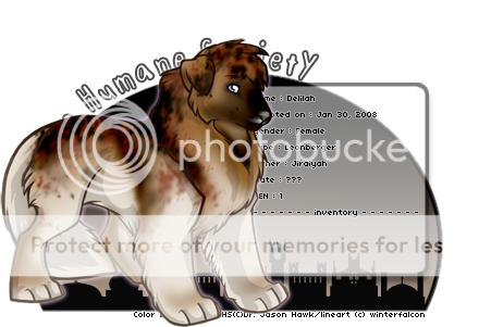 User Image