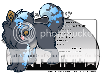 User Image