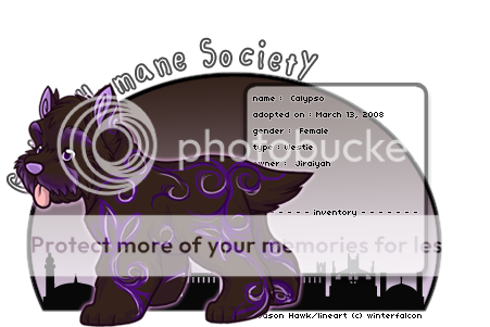 User Image