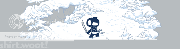 Ninja Clan of the Ephemeral banner