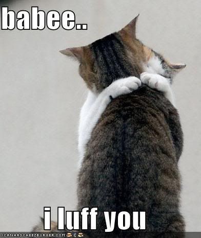 https://i40.photobucket.com/albums/e217/shaggy2112/lolcats-funny-picture-baby-i-love-y.jpg