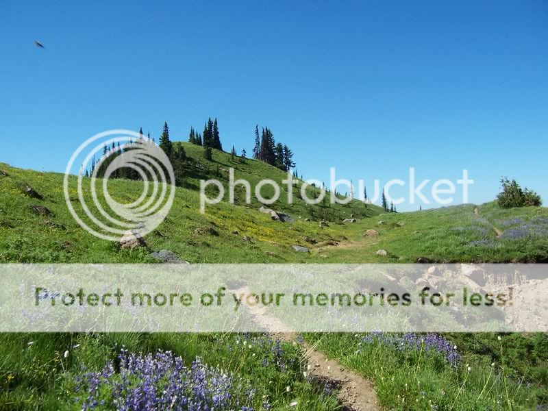 Photobucket - Video and Image Hosting