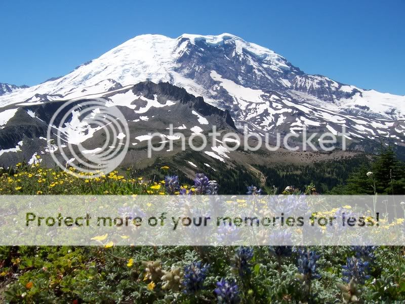 Photobucket - Video and Image Hosting