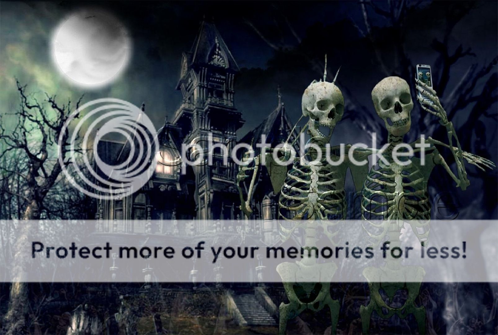 HALLOWEEN HAUNTED HOUSE SKELETONS SELFIES FULL MOON SPOOKY CANVAS ART ...