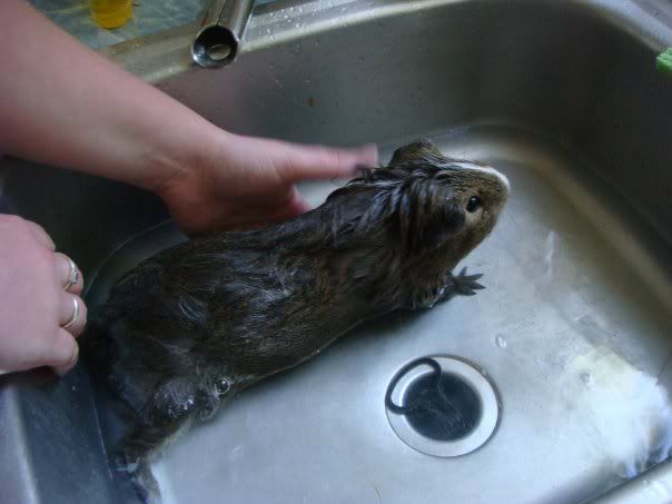 Moonerbath.jpg
