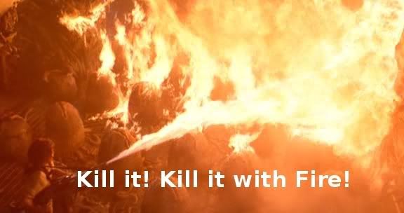 https://i40.photobucket.com/albums/e224/smuder201/KillitWithFireAliens.jpg
