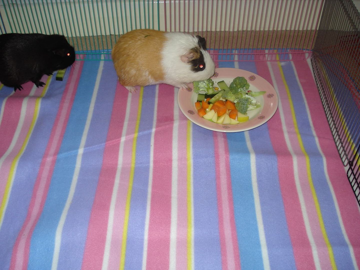 DSC03752.jpg