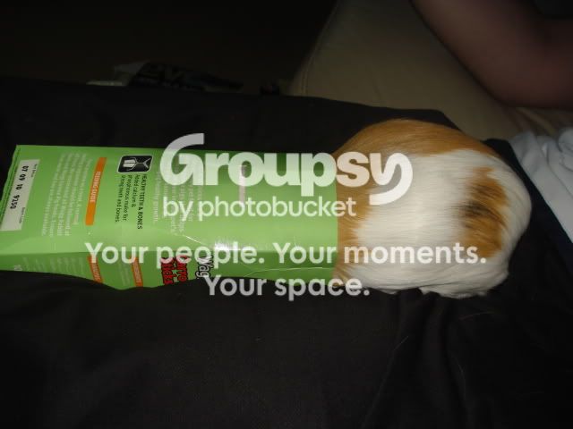 DSC03560.jpg