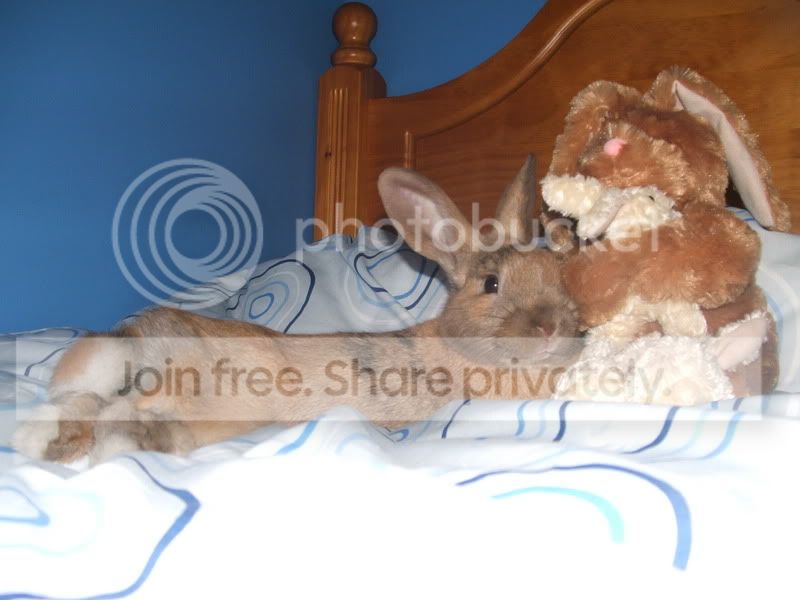 DSCF1356.jpg