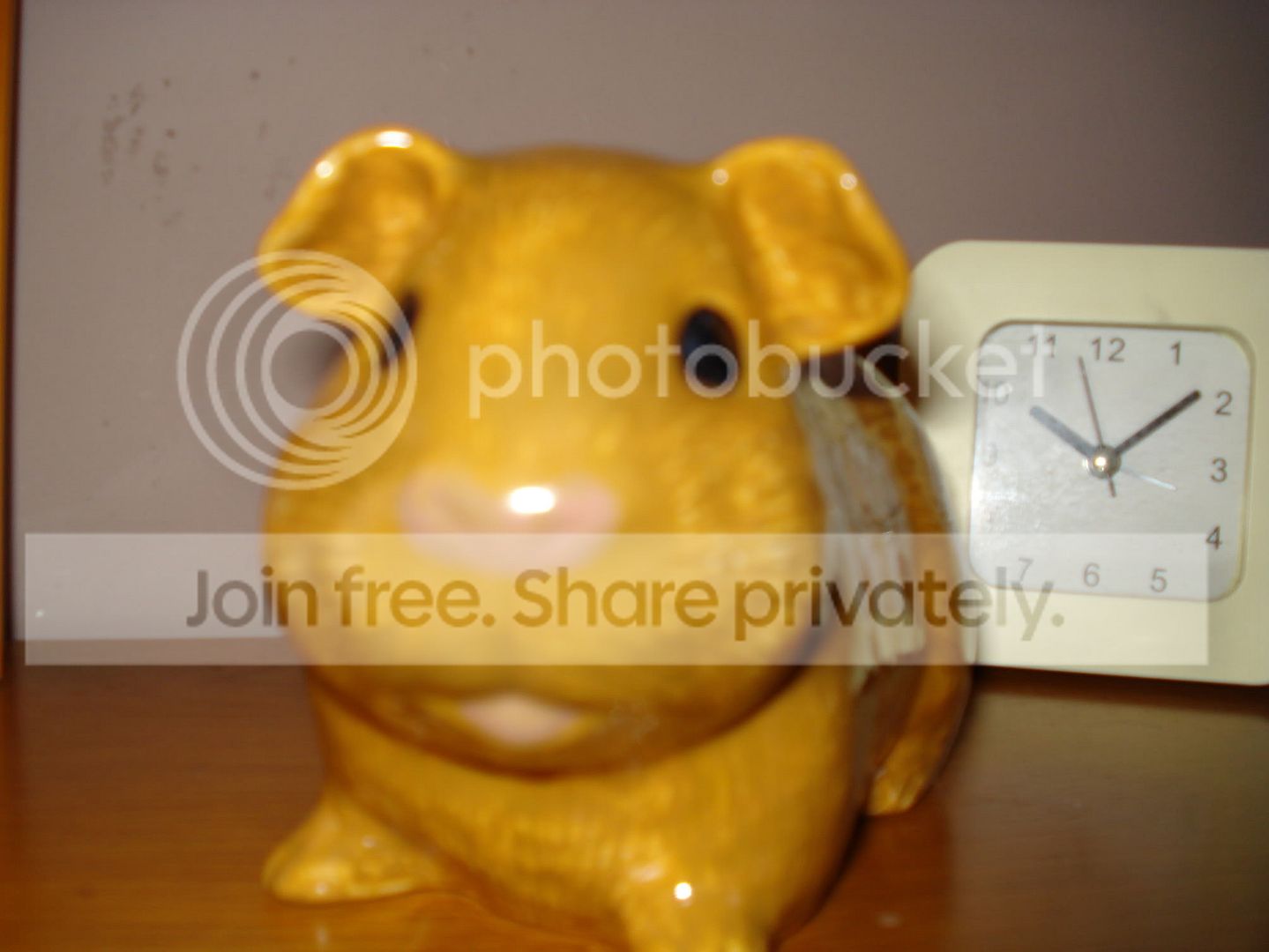 DSC04326.jpg