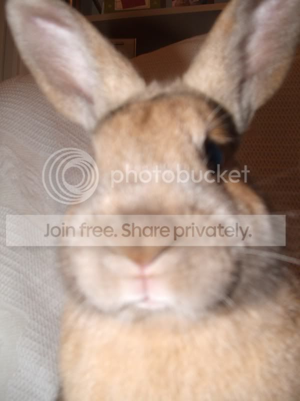 DSCF1220.jpg