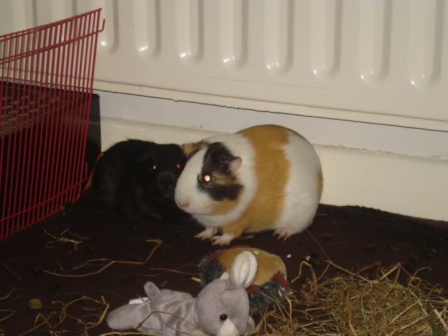 DSC03577.jpg