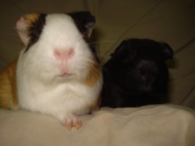 DSC03584.jpg