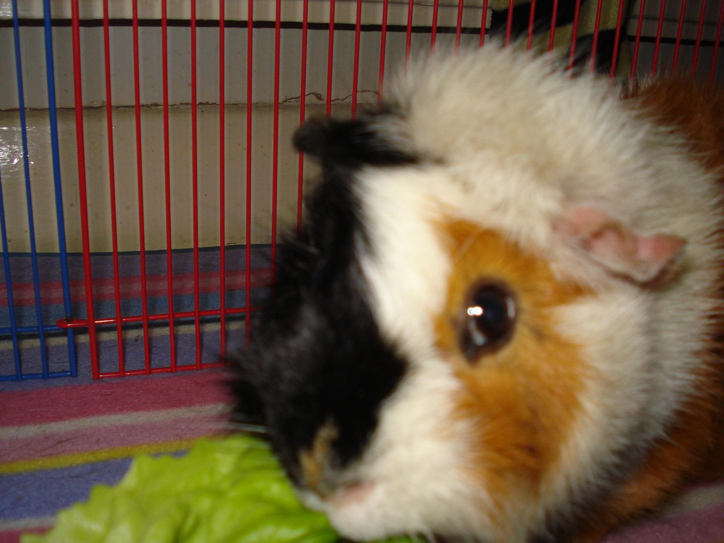 DSC04346.jpg
