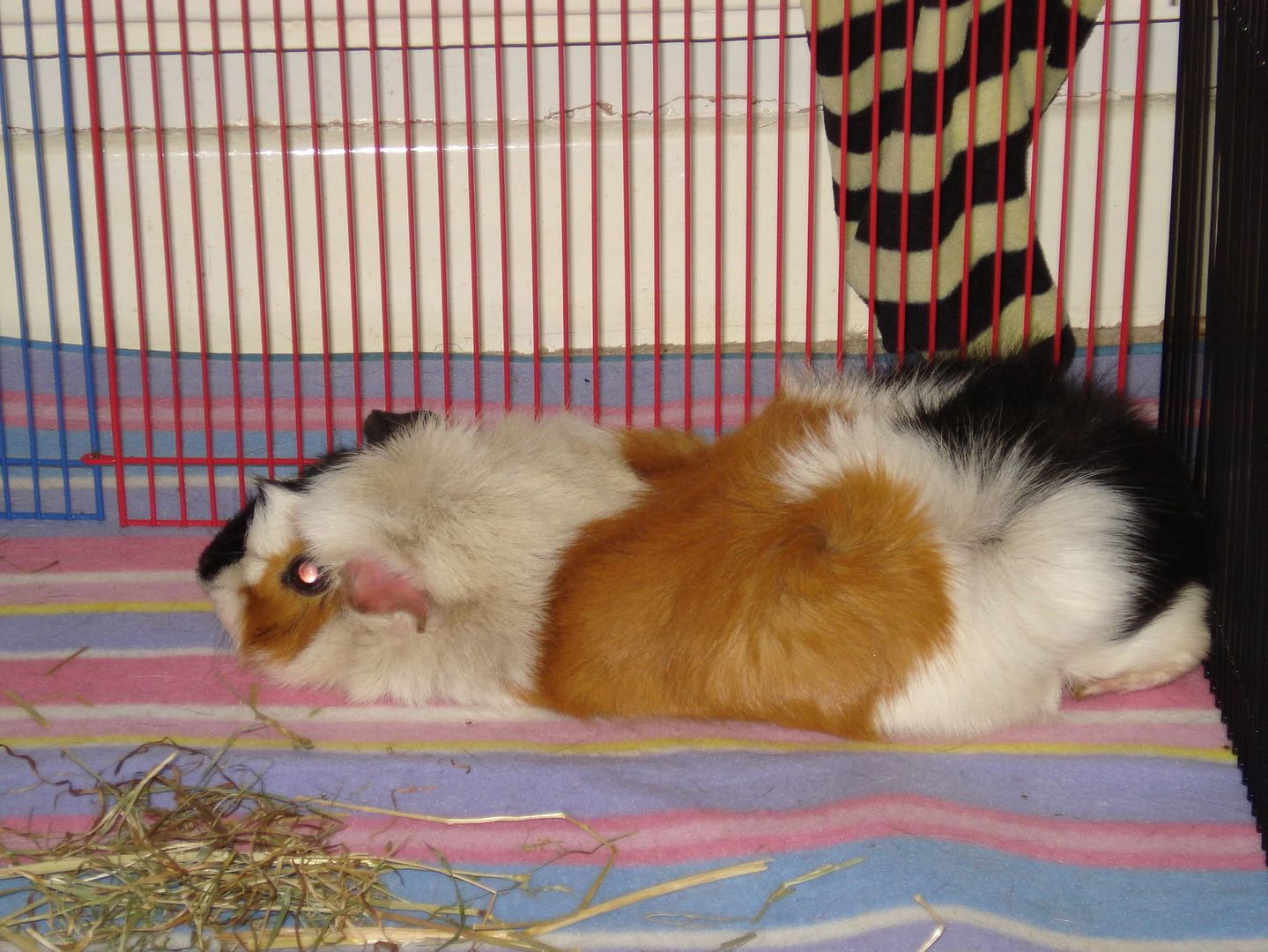 DSC04350.jpg