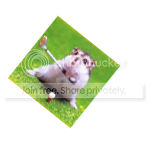 gb3.png
