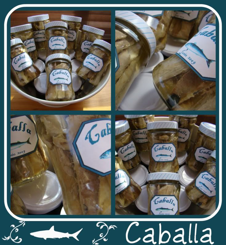 Caballacollage.jpg
