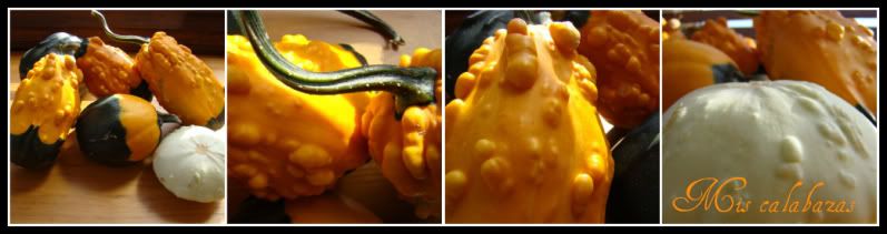 Miscalabazas.jpg