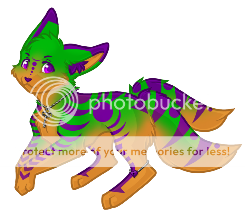 User Image
