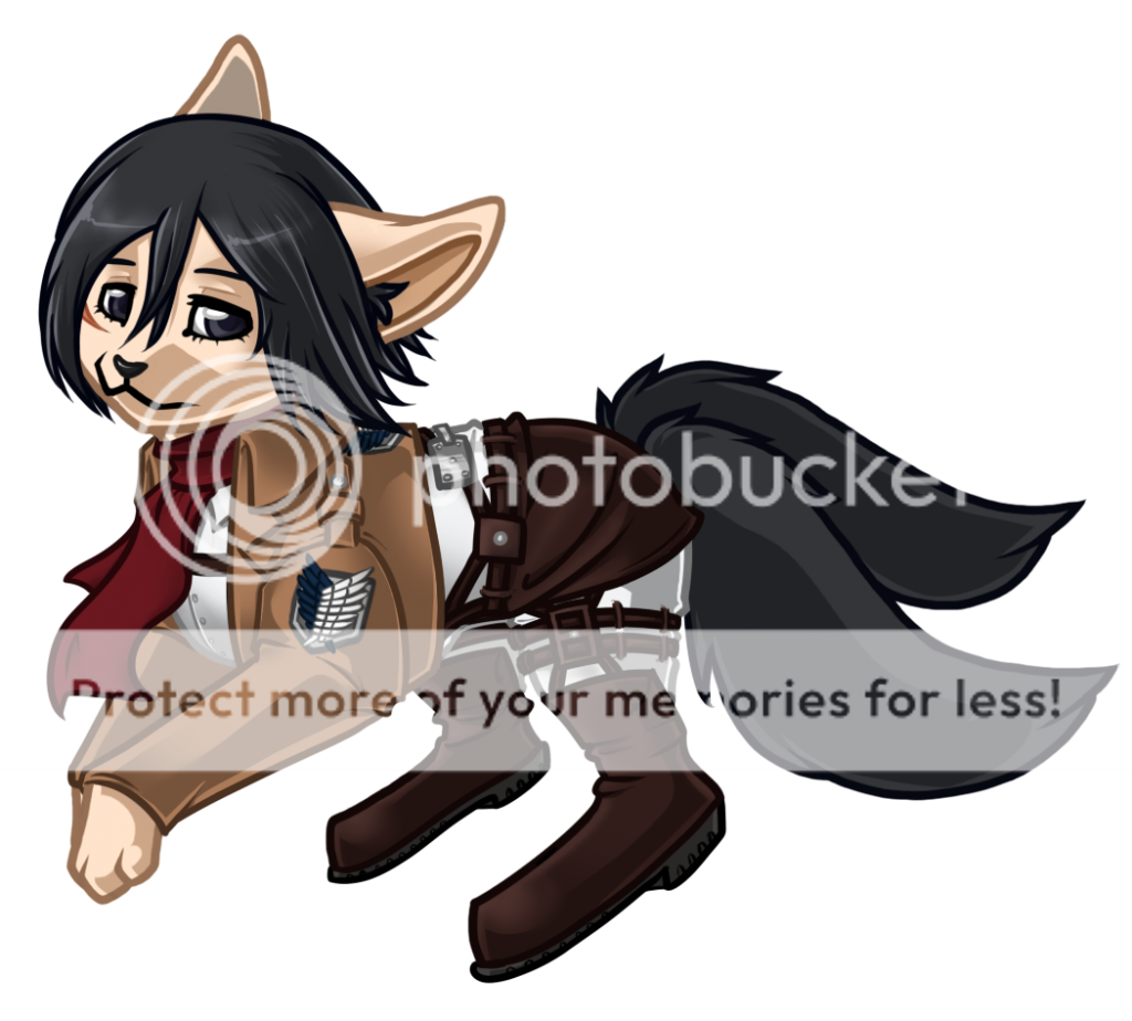 User Image