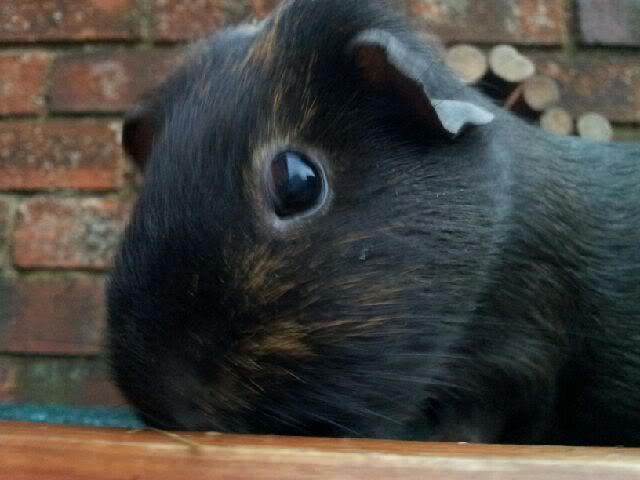 20120411_195100.jpg