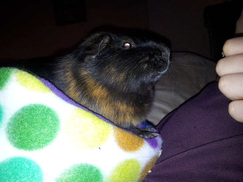 20120428_232614.jpg