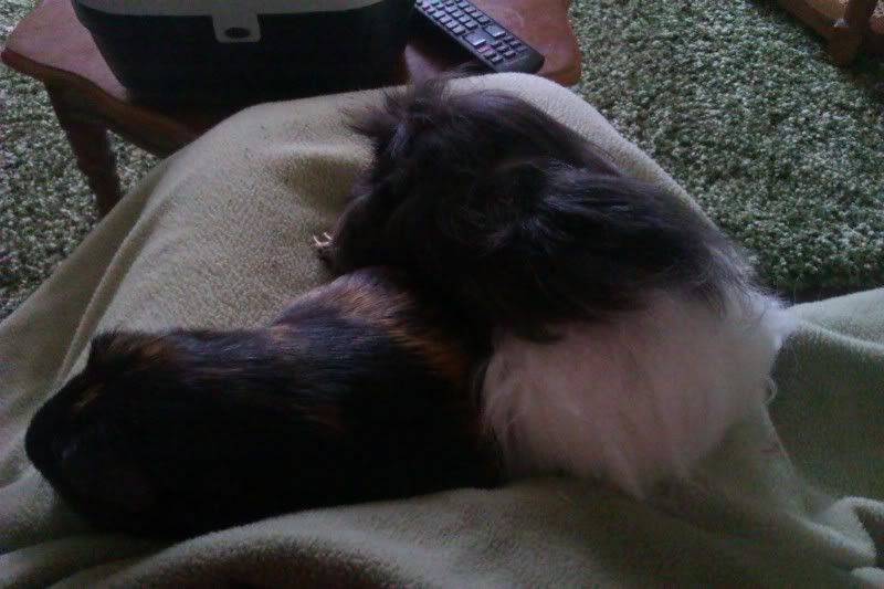 IMAG0090.jpg