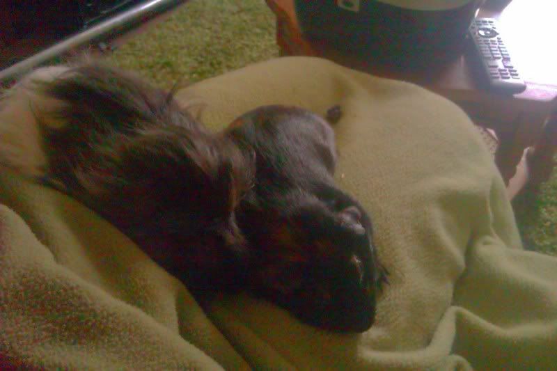 IMAG0094.jpg