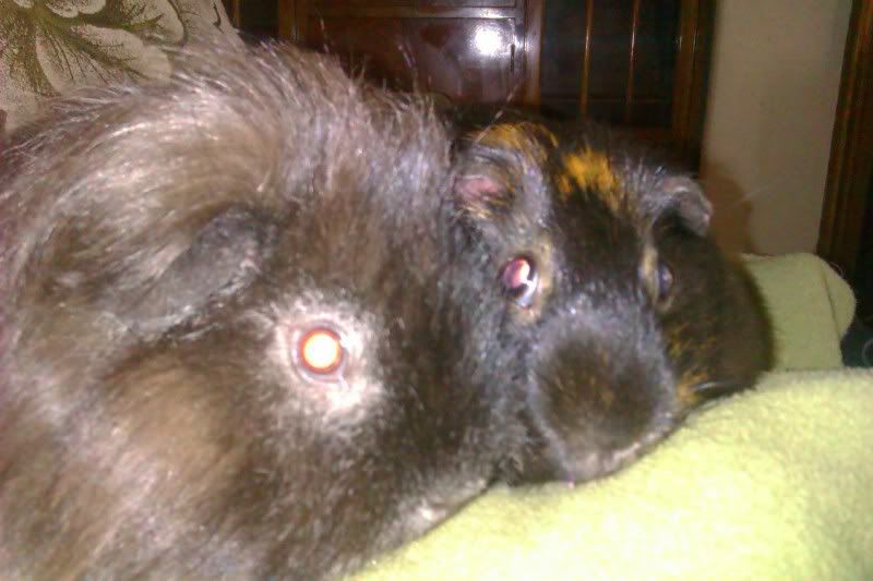 IMAG0098.jpg